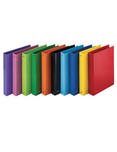 CF10 RACCOGL. SPRINT 22X30 ASSORTI 2