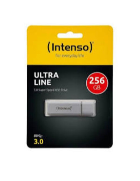 CHIAVETTA USB 256 GB SILVER