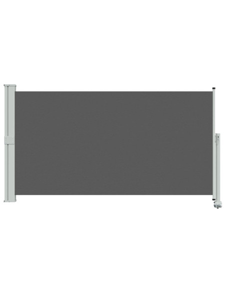 Tenda laterale Antracite 300 x 160 cm