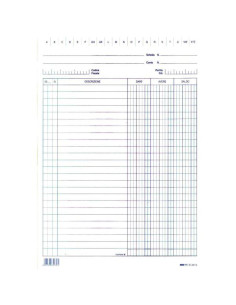 CF100 SCHEDE DARE/AVERE/SALDO BLU 2