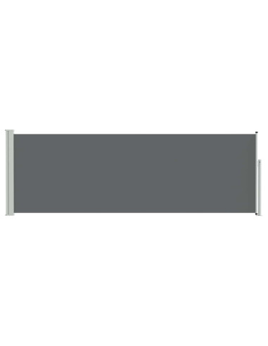 Tenda laterale retrattile Antracite 300 x 100 cm Poliestere