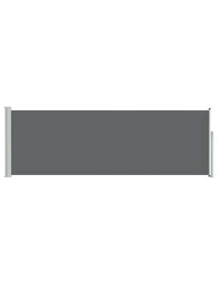 Tenda laterale retrattile Antracite 300 x 100 cm Poliestere