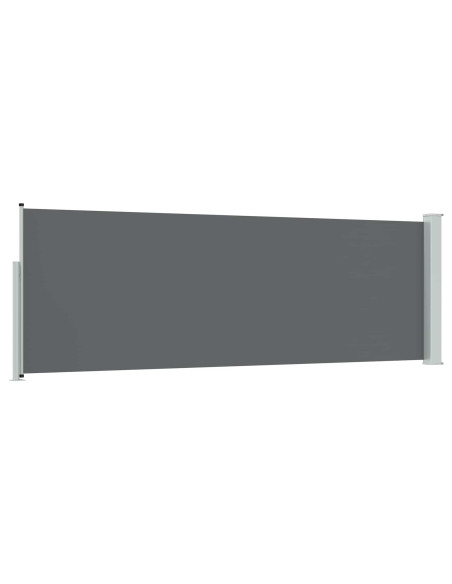 Tenda laterale retrattile Antracite 300 x 100 cm Poliestere