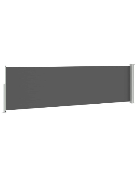 Tenda laterale retrattile Antracite 300 x 120 cm Poliestere