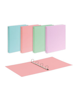 CF10 RACC.PASTEL CARTONE A4 D30 AS 2