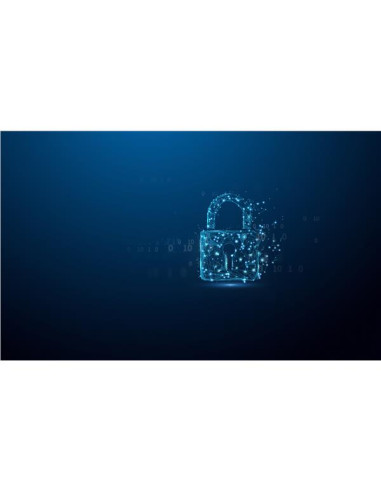 128GB IRONKEY LOCKER PLUS 50 G2