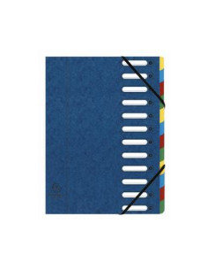 CLASSIFICATORI 12SCOMPART BLU 2