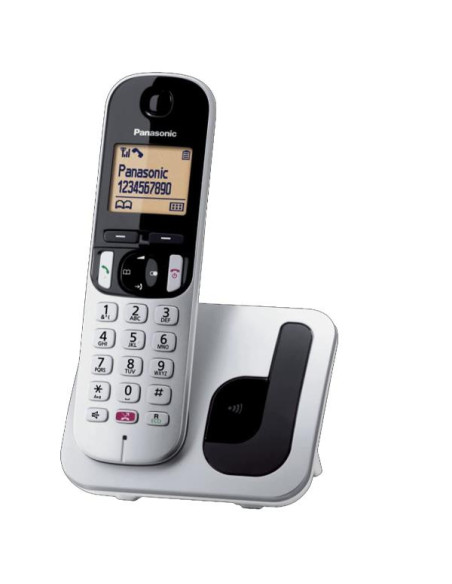 CORDLESS TGC250 SILVER