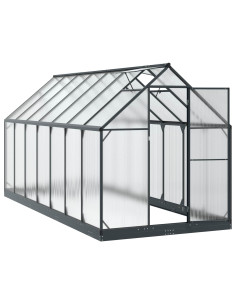 Serra da Giardino con porta Antracite 183,5 x 423,5 x 207 cm 2