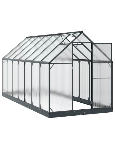 Serra da Giardino con porta Antracite 183,5 x 423,5 x 207 cm