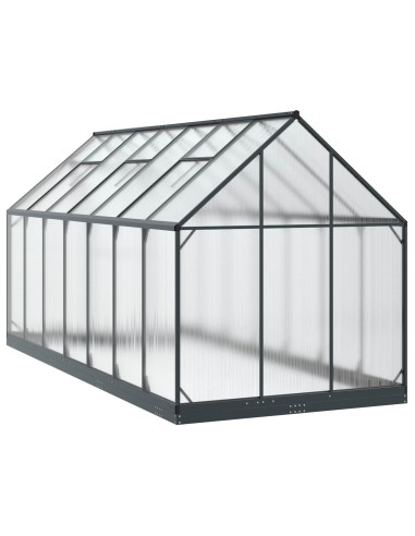 Serra da Giardino con porta Antracite 183,5 x 423,5 x 207 cm