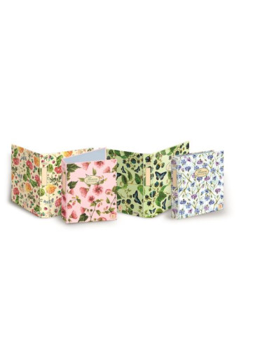 CF5CARTELLA ANELL NATURE FLOWERS A4