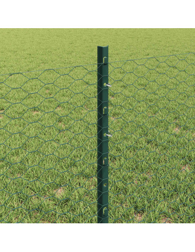 Recinzione con Posto Verde 0,6 x 10 m Acciaio e PVC