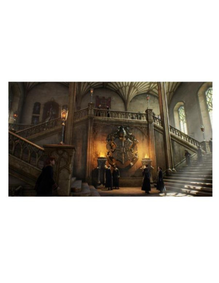HOGWARTS LEGACY SWITCH