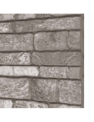 Pannelli da parete 10 pcs Grigio Scuro 100 x 50 cm Schiuma EPS