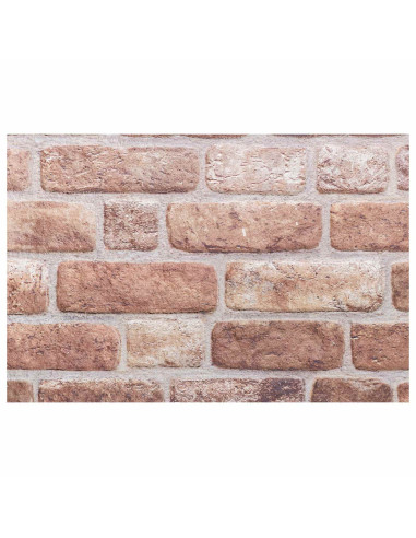 Pannelli da parete 10 pcs Marrone 100 x 50 cm Schiuma EPS