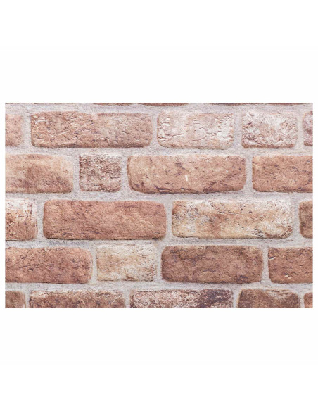 Pannelli da parete 10 pcs Marrone 100 x 50 cm Schiuma EPS