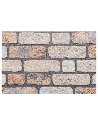 Pannelli da parete 10 pcs Marrone Chiaro 100 x 50 cm