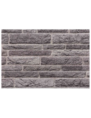 Pannelli da parete 10 pcs Antracite 100 x 50 cm Schiuma EPS