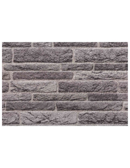 Pannelli da parete 10 pcs Antracite 100 x 50 cm Schiuma EPS