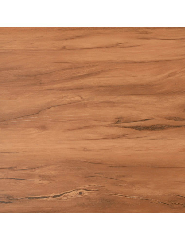 Tavole per Pavimenti 36 pcs Naturale 5,02 m² PVC
