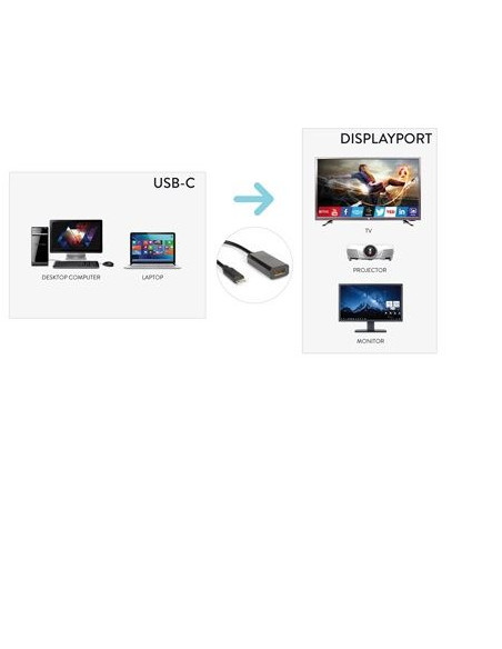 CAVO USB TIPO C TO DP F 4K 2K