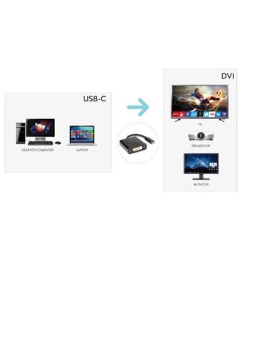 CAVO USB TIPO C TO DVI F 4K 2K 30HZ