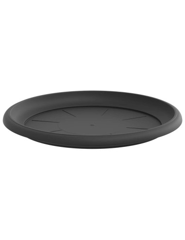 Vassoio Rotondo per Fiori 24 pcs Nero Ø 27 x 2,5 cm Plastica