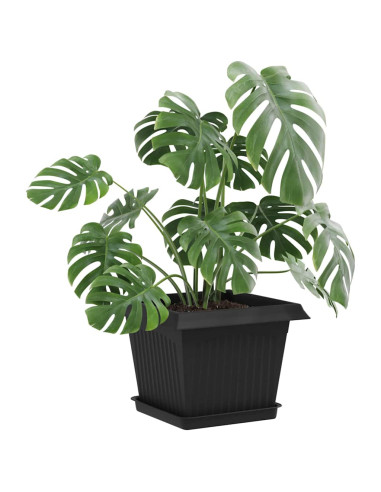 Vassoio Quadrato per Fiori 6 pcs Nero 18 x 18 x 2 cm Plastica