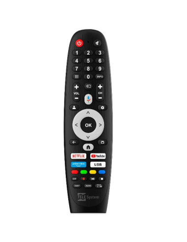 24 TS24FL SMG15 GOOGLE TV 12/220V