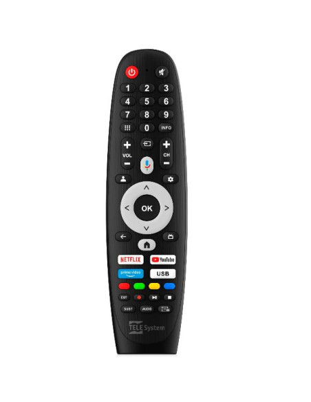 24 TS24FL SMG15 GOOGLE TV 12/220V