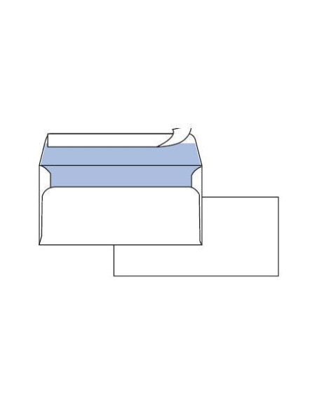 CF500 BUSTE EDERA S/FINES 11X23CM