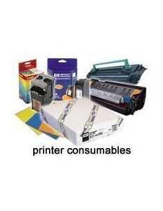 Epson Carta fotografica lucida Premium (250), in rotoli da111,8cm (44'') x 30, 5m.