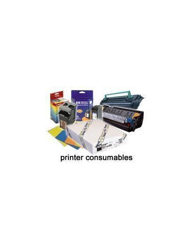 Epson Carta fotografica lucida Premium (250), in rotoli da111,8cm (44'') x 30, 5m.