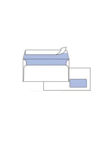 CF25 BUSTE EDERA C/FIN 11X23CM