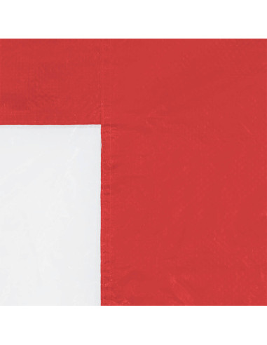 Parete per tenda da festa 2 pcs 300 x 195 cm Rosso PE e Acciaio
