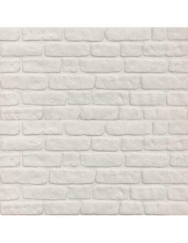 Pannelli da parete 10 pcs Bianco 100 x 50 cm Schiuma EPS