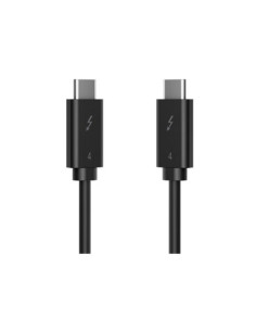 HP 240W THUNDERBOLT 4 CABLE - DARY 2