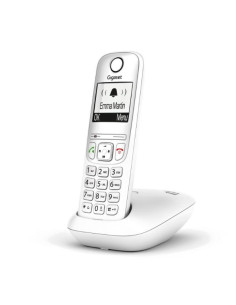 GIGASET AS490 WITH 2
