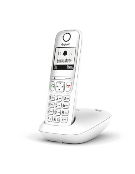 GIGASET AS490 WITH