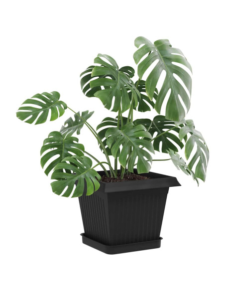 Vasi per Piante 24 pcs Nero 16 x 16 x 14 cm Plastica