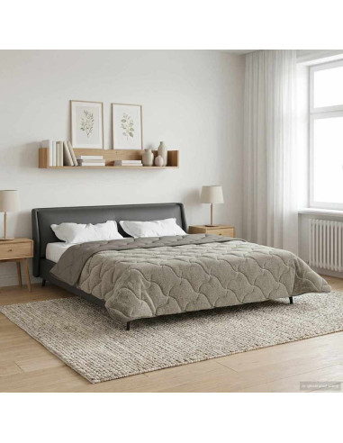Duvet Invernale Trapuntato Grigio chiaro 220 x 240 cm