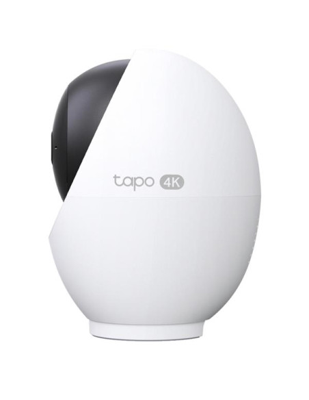 INDOOR/OUTDOOR SECURITY CAM
