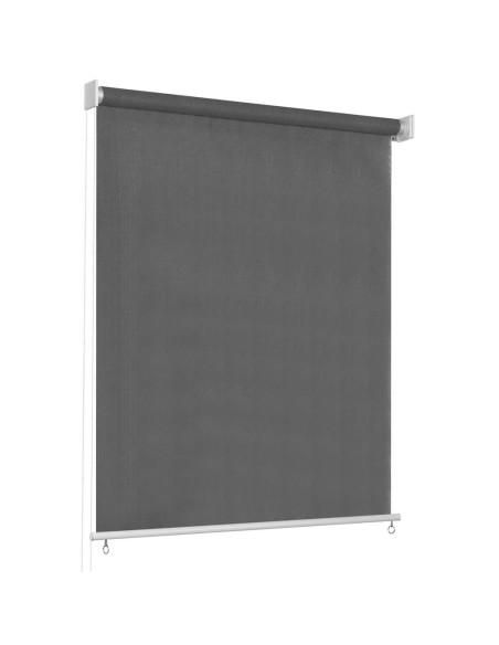 Tenda a Rullo per Esterni 80x230 cm Antracite