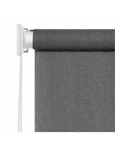 Tenda a Rullo per Esterni 80x230 cm Antracite