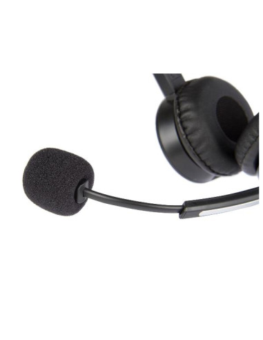 RENOVA CJS CUFFI.BUS. BI USBC-JACK