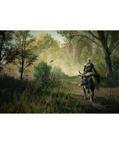 ELDEN RING SHADOW OF ERDTREE PS5