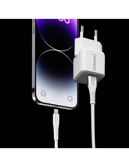 ADAPTER +CABLE SET W30C GAN
