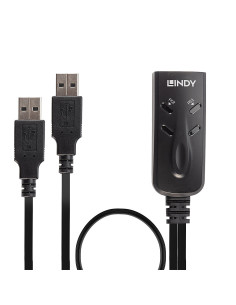 Lindy 32165 switch per keyboard-video-mouse (kvm) Nero 2