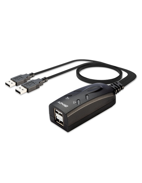 Lindy 32165 switch per keyboard-video-mouse (kvm) Nero